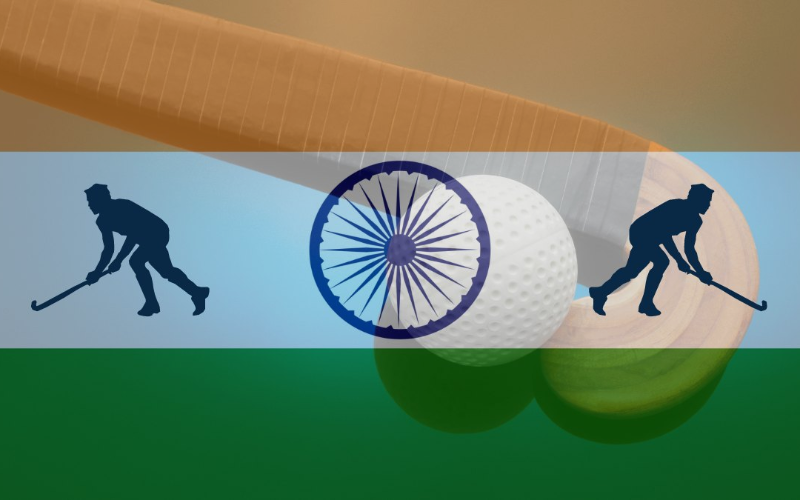 NATIONAL SPORT OF INDIA​